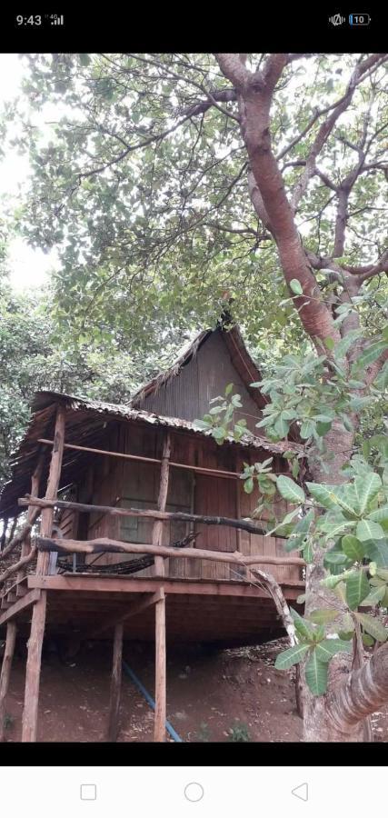 Tree Lodge Banlung Экстерьер фото