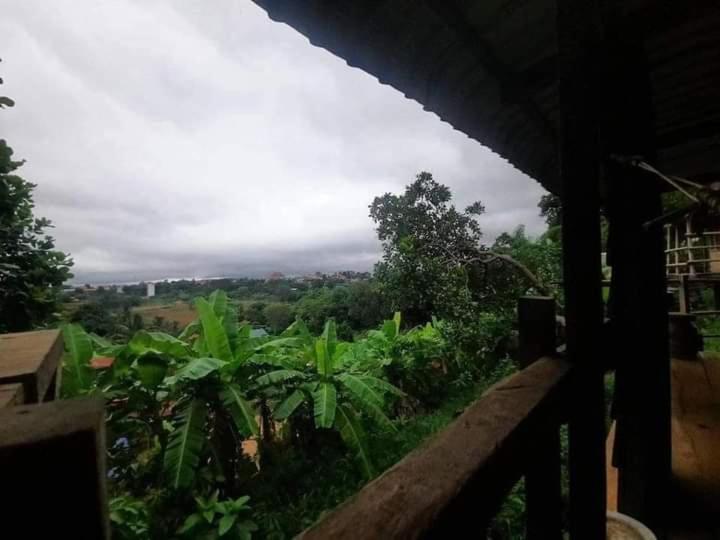 Tree Lodge Banlung Экстерьер фото