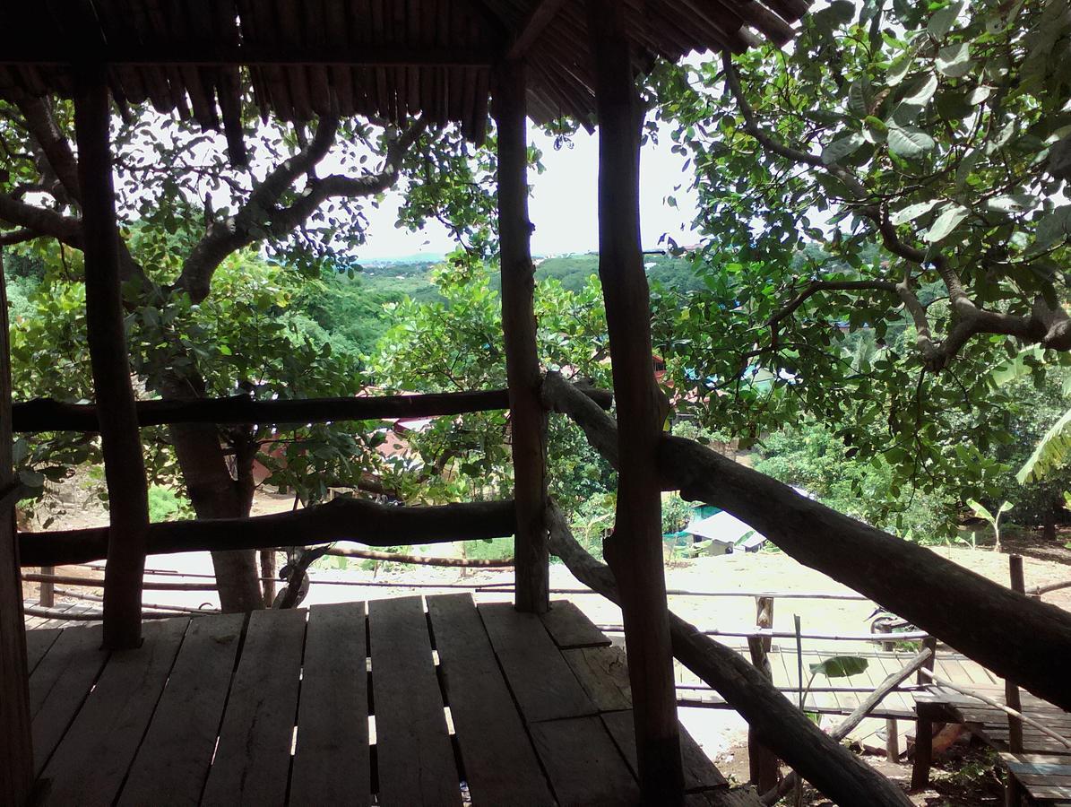 Tree Lodge Banlung Экстерьер фото