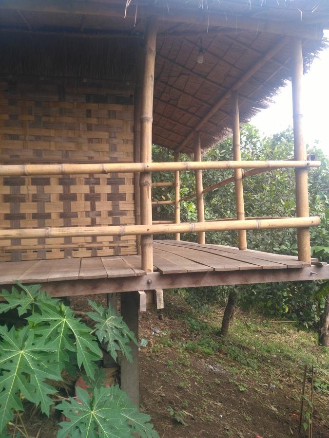 Tree Lodge Banlung Экстерьер фото