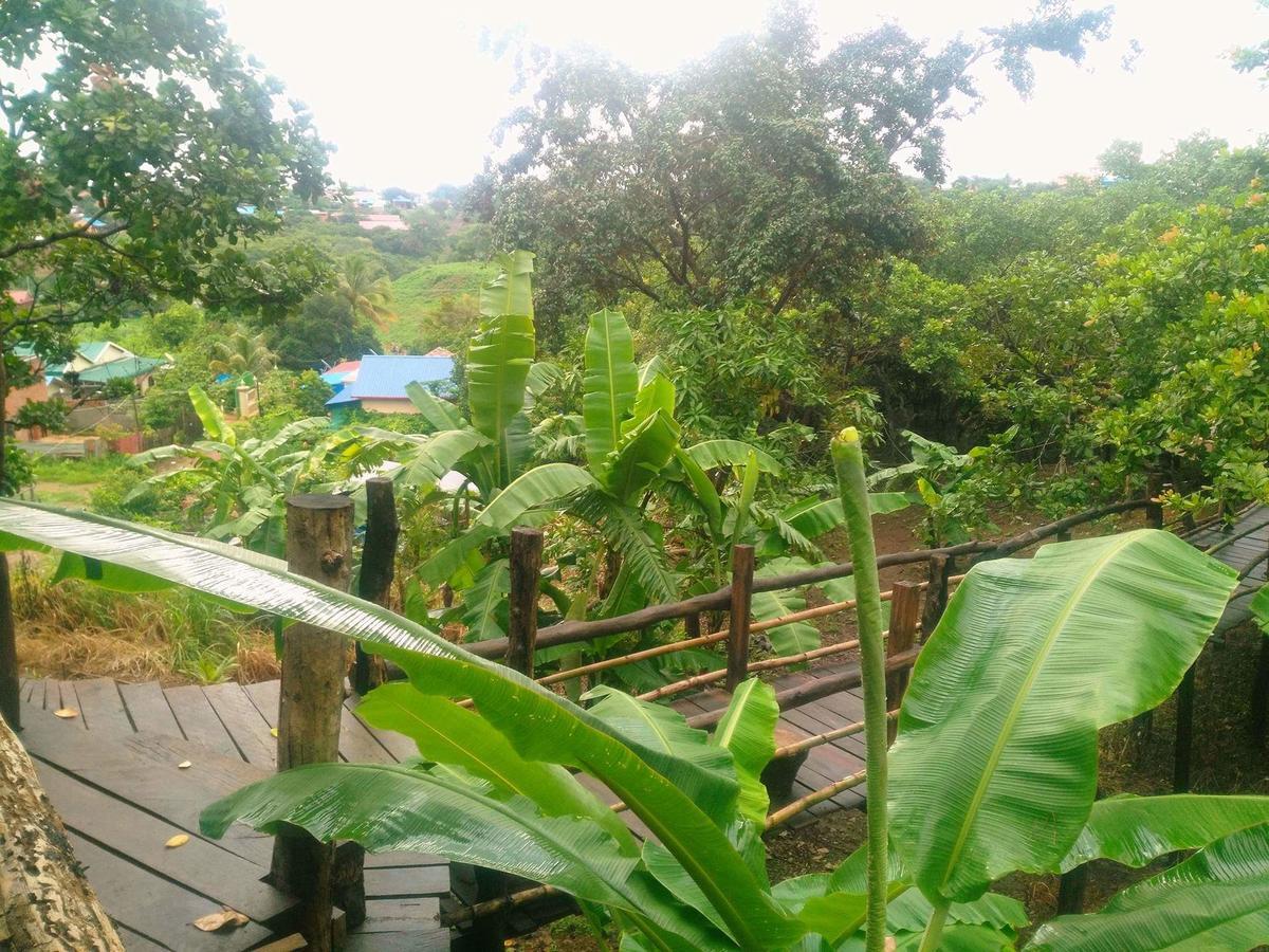 Tree Lodge Banlung Экстерьер фото