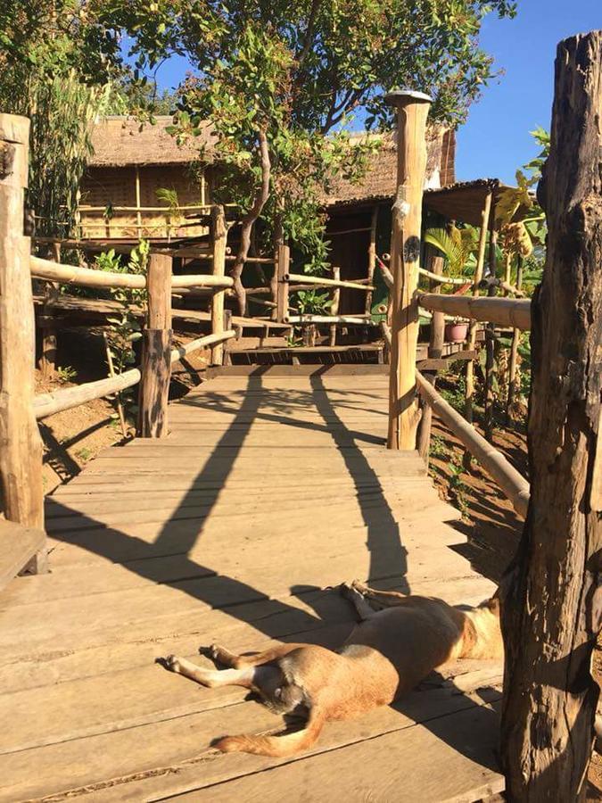 Tree Lodge Banlung Экстерьер фото
