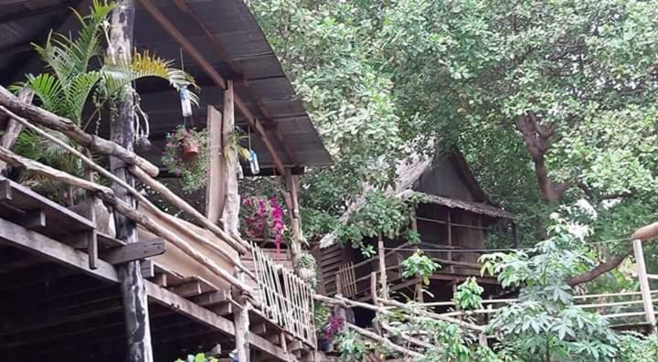 Tree Lodge Banlung Экстерьер фото